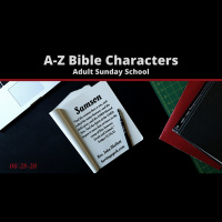 Samson / Bible Characters {McNett}