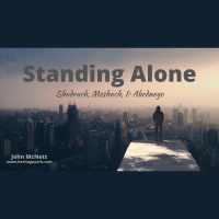 Standing Alone {McNett}