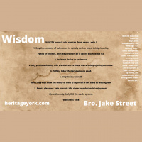 Wisdom and Vanity {Bro. Jake}