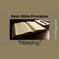 Obeying {Basic Bible Principles}