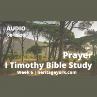 I Timothy {Week 6}