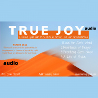 True Joy {McNett}