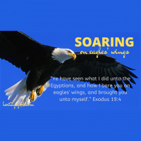 Soaring On Eagles Wings