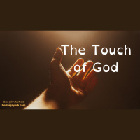 Touch of God {McNett}