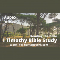 I Timothy {Week 11}