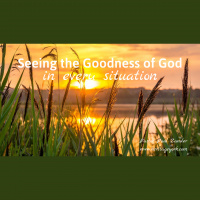 Seeing the Goodness of God