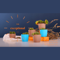 The Exceptional Home (throwback 2015)