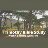 I Timothy Week 1