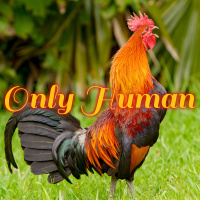 Only Human: The Story of Peters Failures