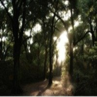 Yo también quiero una mujer dominicana aquí