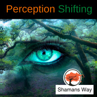 Perception Shifting