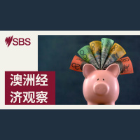 “黑五”销售料创新高 澳洲人掀起必需品囤购潮