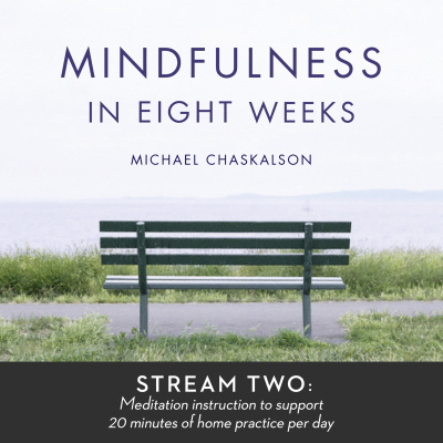 Mindfulness In 8 Weeks: 20 Minutes A Day Program