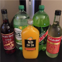 Bum Wine Bob Invades Boston