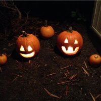 Halloween Hangover 2015