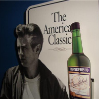 Happy Belated Birthday America!