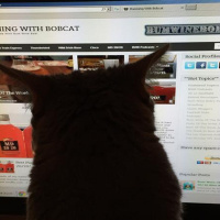 BWB State Of The Union Address