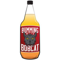 The Beers Of Summer 2018