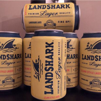 FINS UP for Summer 2016