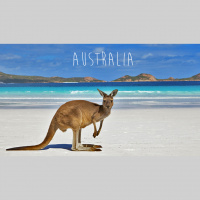 225. The Trump Impeachment edition