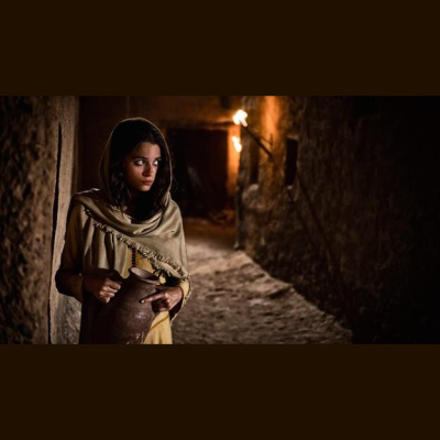 Message To Kings - A Biblical History Of Man