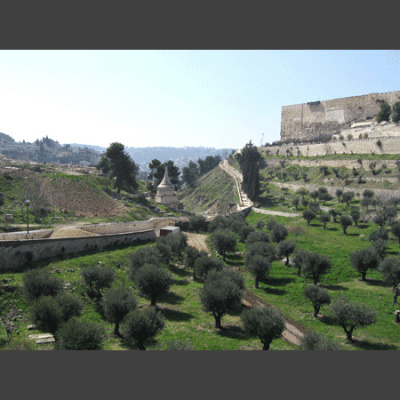 Message To Kings - A Biblical History Of Man