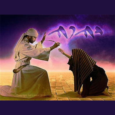 Message To Kings - A Biblical History Of Man