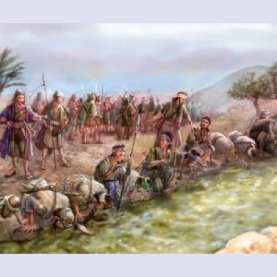 Message To Kings - A Biblical History Of Man