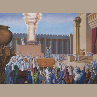 Message To Kings - A Biblical History Of Man