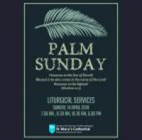 Luke 19:28-44 – Blessed Is The King Who Comes In The Name Of The Lord