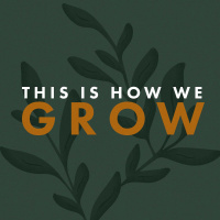 THIS IS HOW WE GROW: Identity + Calling // Pastor Beth Hackbarth