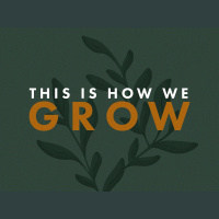 THIS IS HOW WE GROW: Mind + Emotions // Pastor Ben Hackbarth