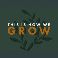 THIS IS HOW WE GROW // Pastor Ben Hackbarth