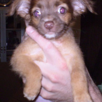 Rants and Raves Ep002