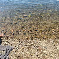 58 - Dom Geluk (Michiel Sanen)