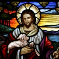 PROPER XXIV (SERMON - 19 OCT 2014)