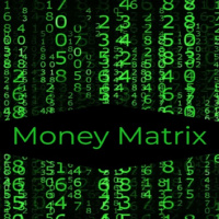 The Money Matrix