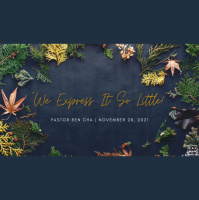We Express It So Little - Audio
