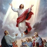 2nd Sunday of Easter: Apostolic, Contemplative and Theological Saints