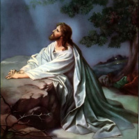 Pentecost: Courage to Face the Wolves and the Status Quo