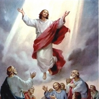 Ascension Sunday - The Head and the Body and Zeal