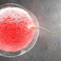 Philosophical Reasons Why Abortion is Immoral.