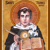 5 Lent: Doctrinal Homily on the Natural Law