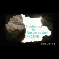 Sheltered in Resurrection Hope - Audio