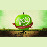 The Power of Gentleness - Audio