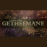 A Garden Called Gethsemane - Audio