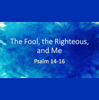 The Fool, the Righteous, and Me - Audio