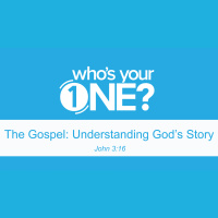 The Gospel: Understanding Gods Story - Audio