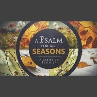 Content in My Shepherds Care - Audio