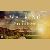 Walking in the Promises - Audio